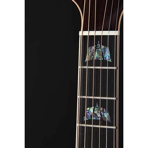 Takamine Custom TCP7DAD1 Acoustic Electric Guitar-Guitar & Bass-Takamine-Logans Pianos