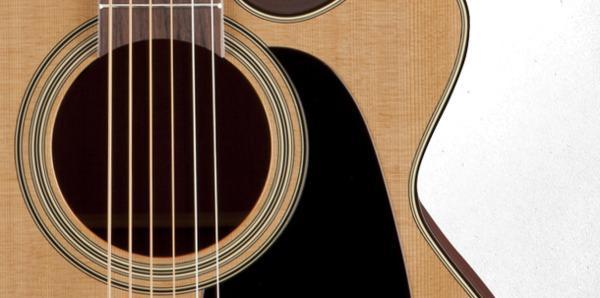 Takamine P1NC Acoustic Electric Guitar-Guitar & Bass-Takamine-Logans Pianos